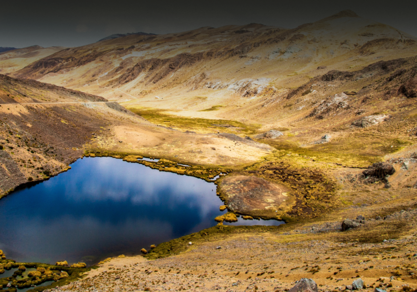 Copy of AgMR Blog Image (2)