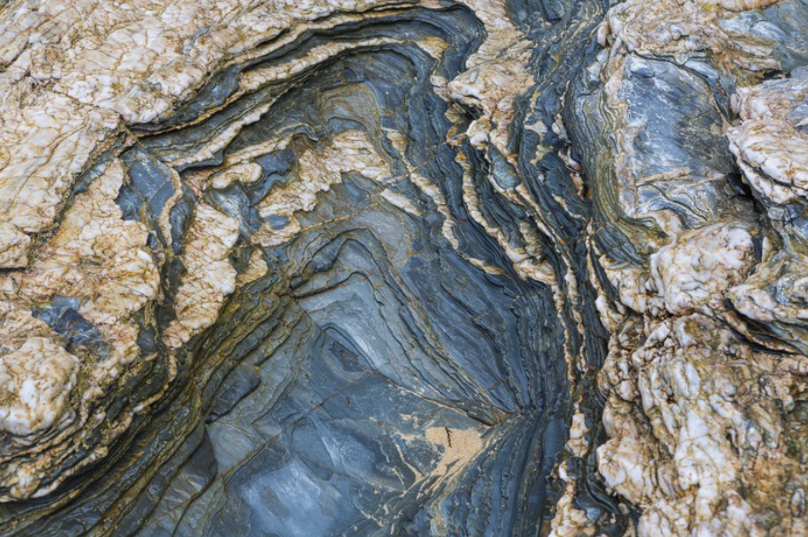 Screen Shot 2022-06-02 at 5.30.11 PM