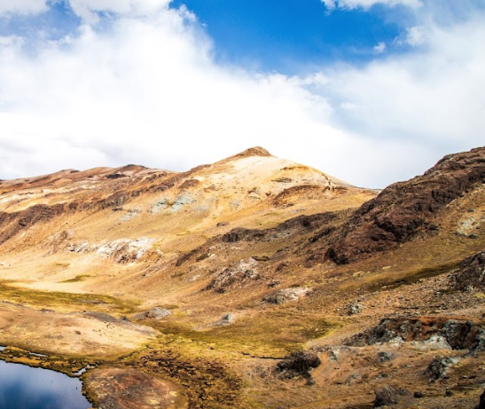 Screen Shot 2022-08-12 at 12.09.59 PM