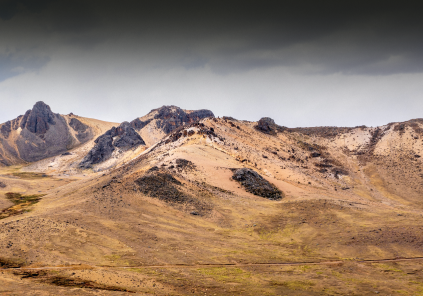 Copy of AgMR Blog Image (5)